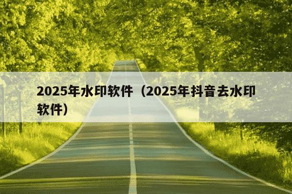 2025年水印软件(2025年抖音去水印软件)