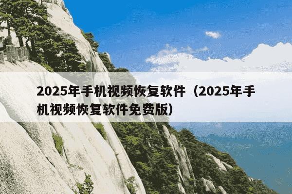 2025年手机视频恢复软件(2025年手机视频恢复软件免费版)