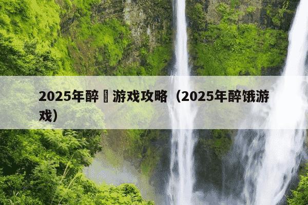 2025年醉囧游戏攻略(2025年醉饿游戏)