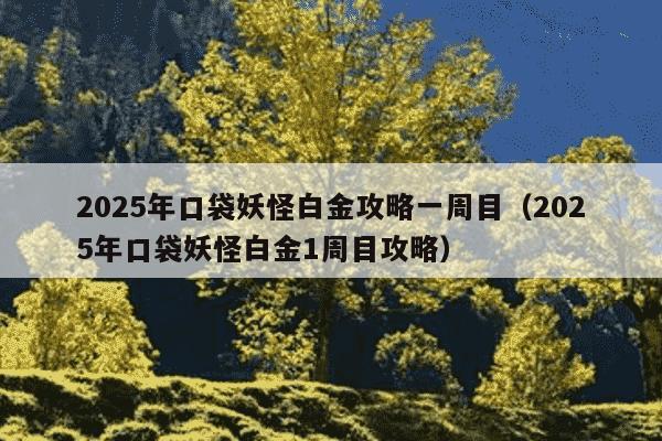 2025年口袋妖怪白金攻略一周目（2025年口袋妖怪白金1周目攻略）