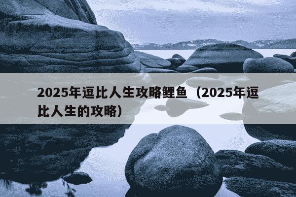 2025年逗比人生攻略鲤鱼(2025年逗比人生的攻略)