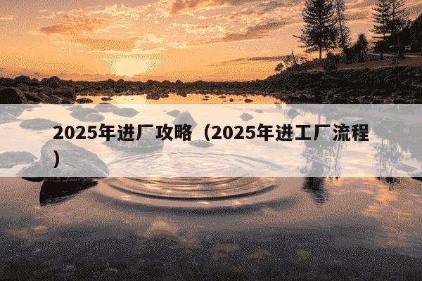 2025年进厂攻略(2025年进工厂流程)
