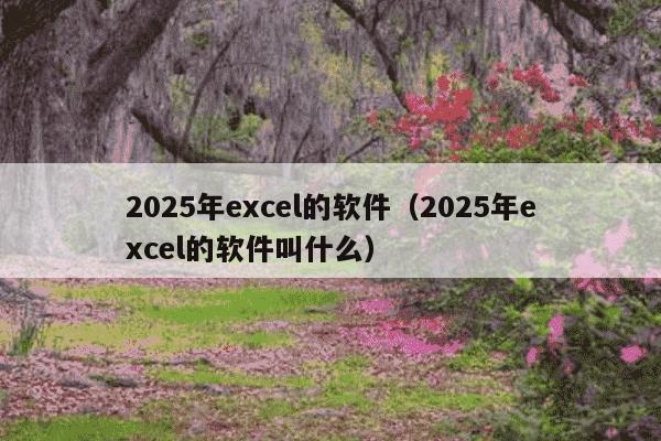 2025年excel的软件(2025年excel的软件叫什么)