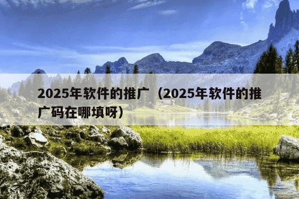 2025年软件的推广（2025年软件的推广码在哪填呀）