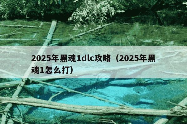 2025年黑魂1dlc攻略(2025年黑魂1怎么打)