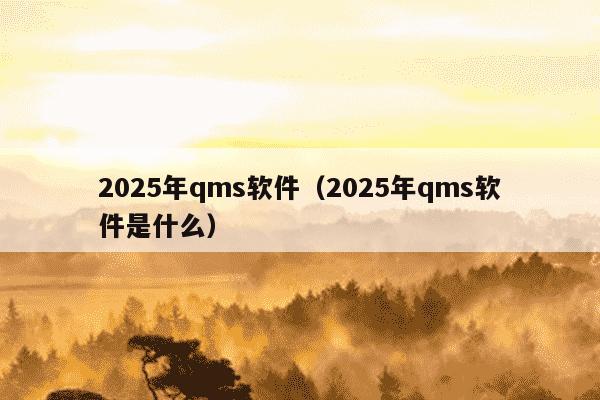 2025年qms软件（2025年qms软件是什么）