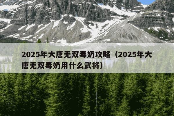 2025年大唐无双毒奶攻略（2025年大唐无双毒奶用什么武将）