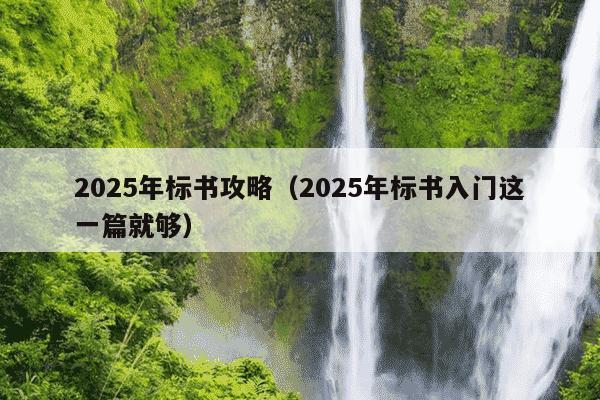 2025年标书攻略(2025年标书入门这一篇就够)