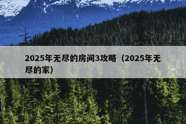 2025年无尽的房间3攻略（2025年无尽的家）