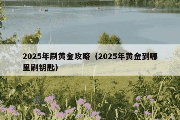 2025年刷黄金攻略（2025年黄金到哪里刷钥匙）