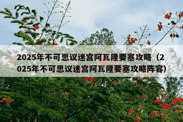 2025年不可思议迷宫阿瓦隆要塞攻略（2025年不可思议迷宫阿瓦隆要塞攻略阵容）