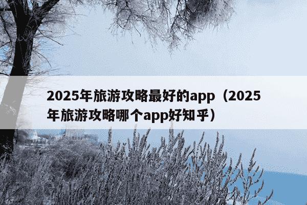 2025年旅游攻略最好的app(2025年旅游攻略哪个app好知乎)
