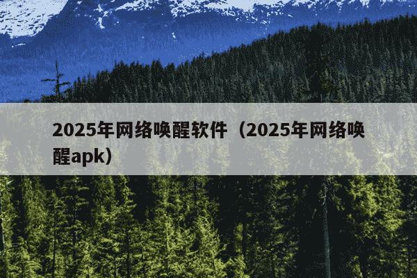 2025年网络唤醒软件(2025年网络唤醒apk)