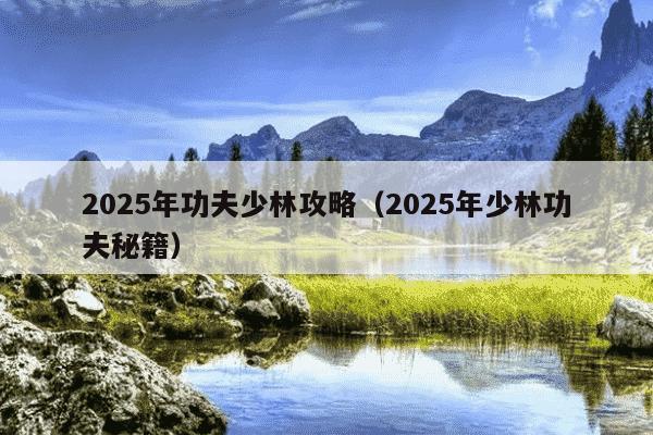 2025年功夫少林攻略（2025年少林功夫秘籍）