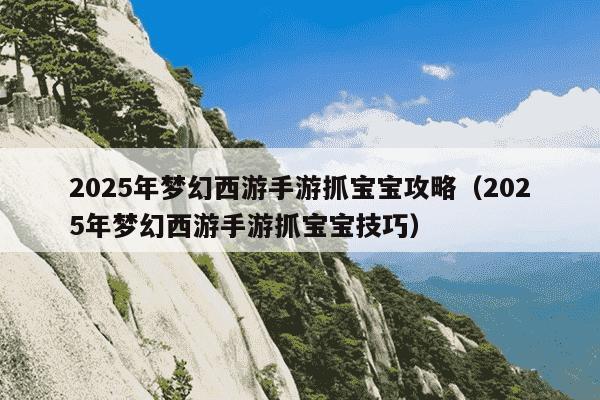2025年梦幻西游手游抓宝宝攻略(2025年梦幻西游手游抓宝宝技巧)