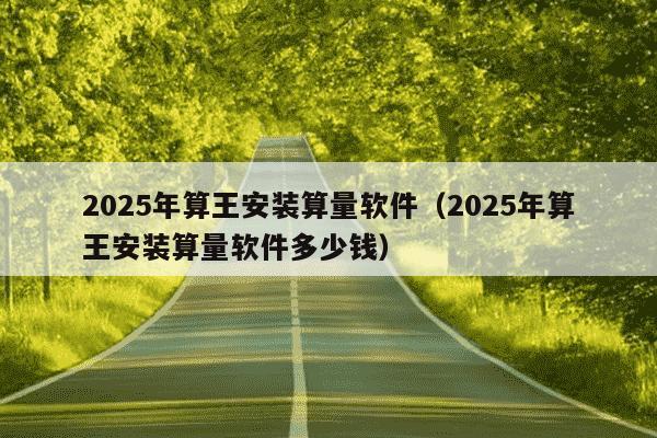 2025年算王安装算量软件(2025年算王安装算量软件多少钱)