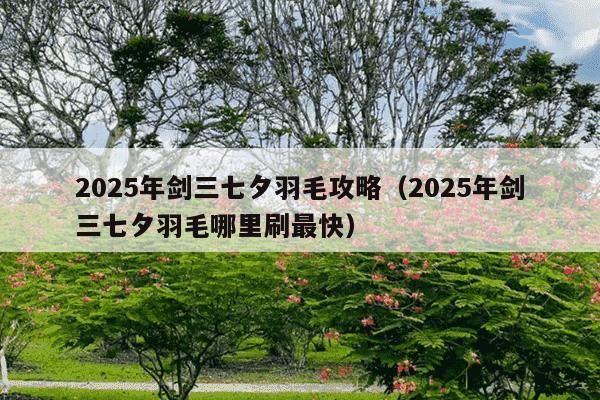 2025年剑三七夕羽毛攻略(2025年剑三七夕羽毛哪里刷最快)