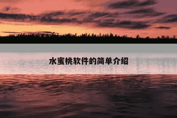 水蜜桃软件的简单介绍