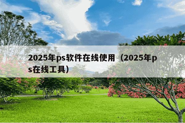 2025年ps软件在线使用(2025年ps在线工具)