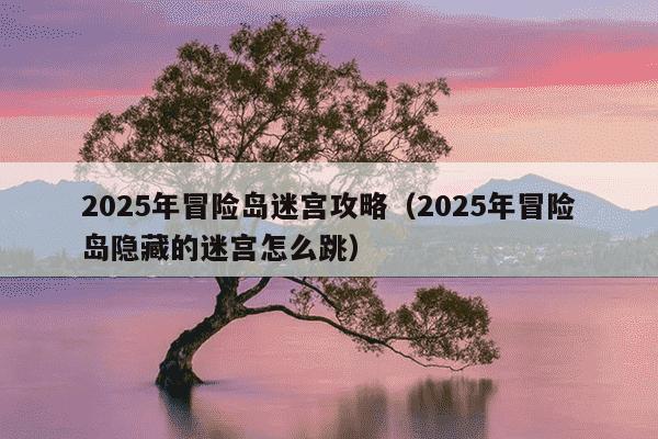 2025年冒险岛迷宫攻略（2025年冒险岛隐藏的迷宫怎么跳）