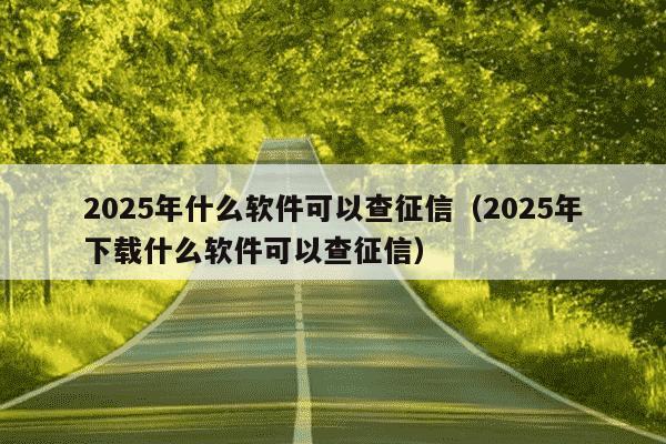 2025年什么软件可以查征信（2025年下载什么软件可以查征信）