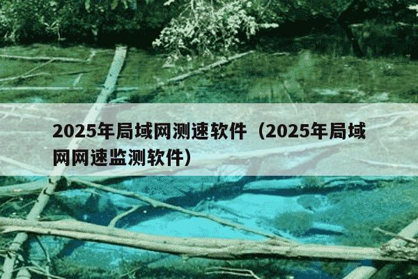 2025年局域网测速软件（2025年局域网网速监测软件）