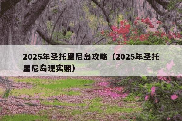 2025年圣托里尼岛攻略（2025年圣托里尼岛现实照）