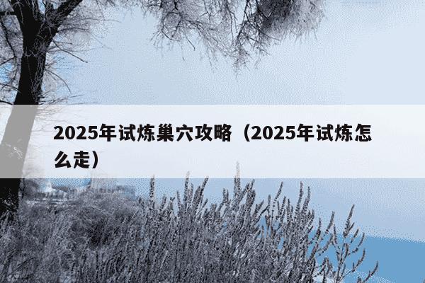 2025年试炼巢穴攻略（2025年试炼怎么走）