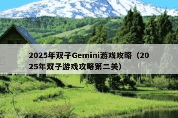 2025年双子Gemini游戏攻略（2025年双子游戏攻略第二关）