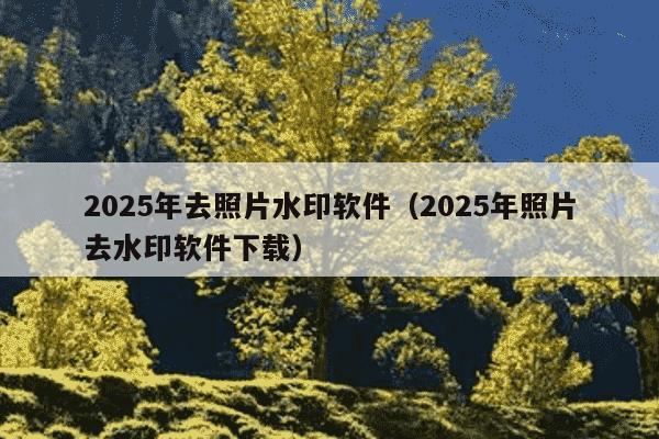 2025年去照片水印软件（2025年照片去水印软件下载）