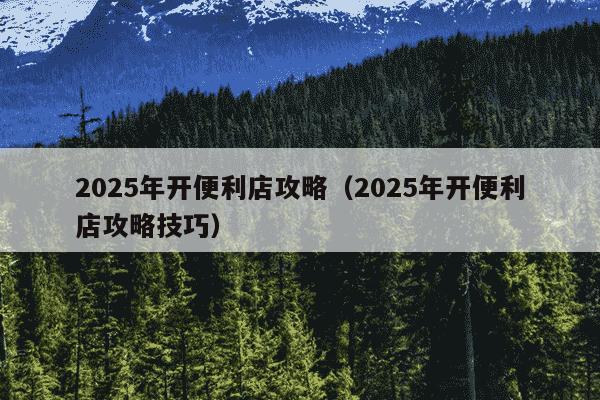 2025年开便利店攻略（2025年开便利店攻略技巧）