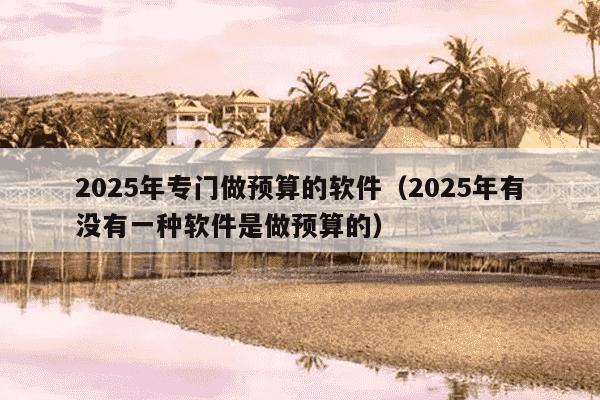 2025年专门做预算的软件（2025年有没有一种软件是做预算的）