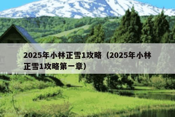 2025年小林正雪1攻略（2025年小林正雪1攻略第一章）
