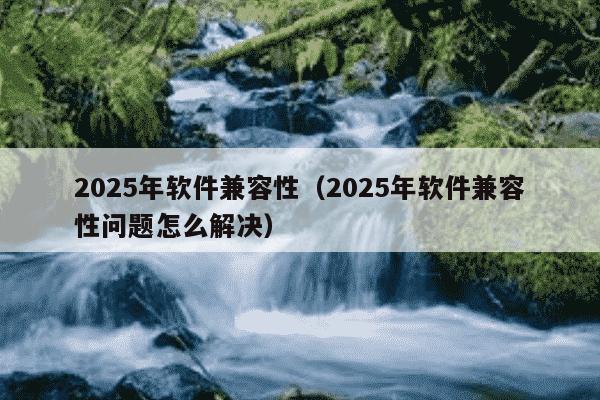 2025年软件兼容性（2025年软件兼容性问题怎么解决）