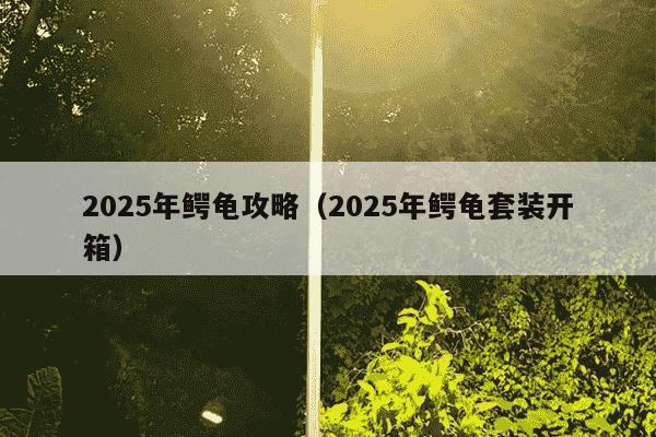 2025年鳄龟攻略(2025年鳄龟套装开箱)
