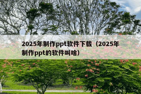 2025年制作ppt软件下载(2025年制作ppt的软件叫啥)