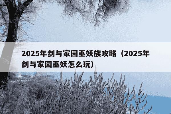 2025年剑与家园巫妖族攻略(2025年剑与家园巫妖怎么玩)