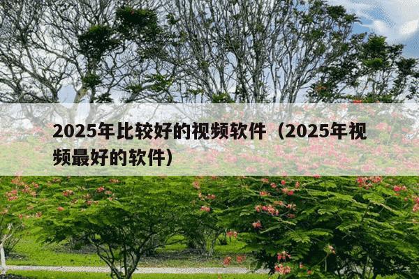 2025年比较好的视频软件(2025年视频最好的软件)