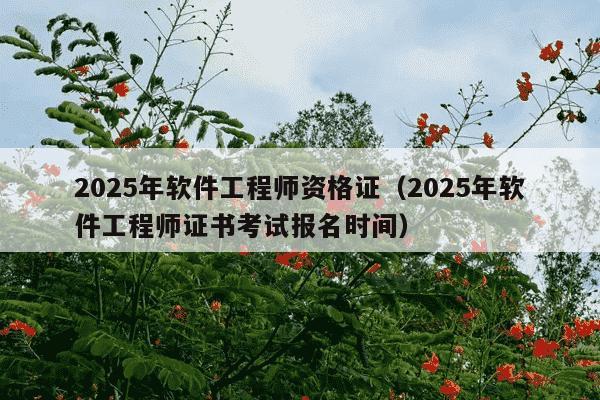 2025年软件工程师资格证（2025年软件工程师证书考试报名时间）