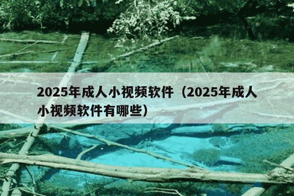 2025年成人小视频软件(2025年成人小视频软件有哪些)