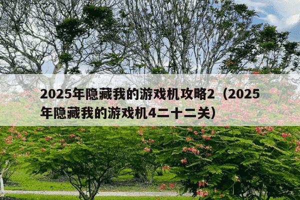 2025年隐藏我的游戏机攻略2（2025年隐藏我的游戏机4二十二关）