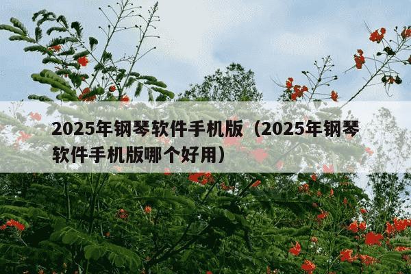 2025年钢琴软件手机版（2025年钢琴软件手机版哪个好用）