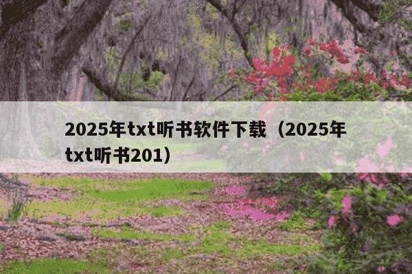 2025年txt听书软件下载(2025年txt听书201)