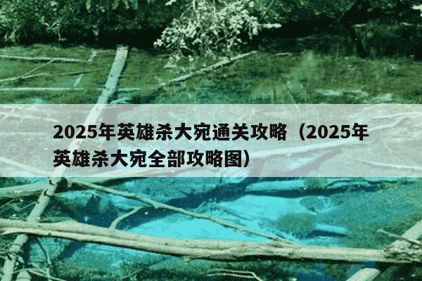 2025年英雄杀大宛通关攻略（2025年英雄杀大宛全部攻略图）