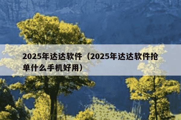 2025年达达软件(2025年达达软件抢单什么手机好用)