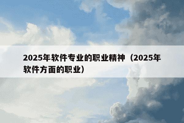 2025年软件专业的职业精神(2025年软件方面的职业)