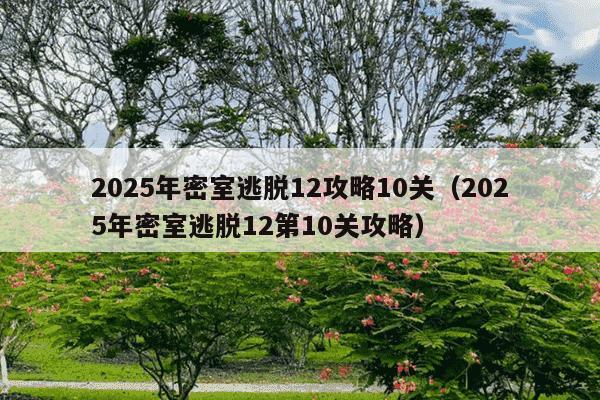 2025年密室逃脱12攻略10关（2025年密室逃脱12第10关攻略）