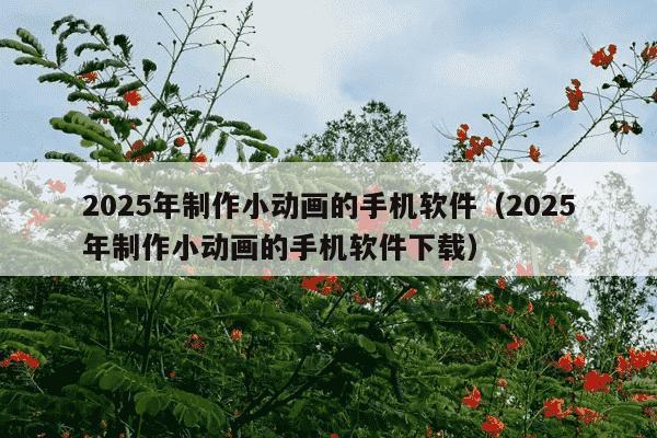2025年制作小动画的手机软件(2025年制作小动画的手机软件下载)