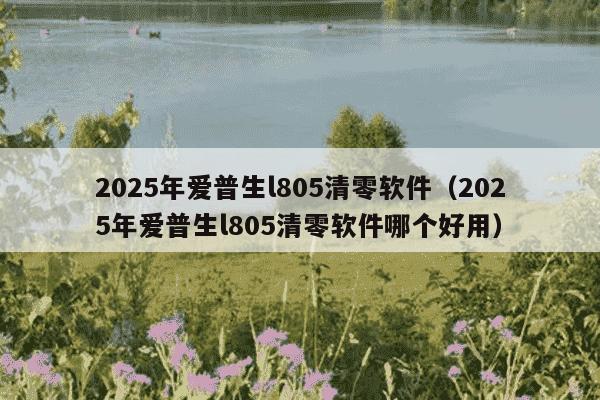 2025年爱普生l805清零软件(2025年爱普生l805清零软件哪个好用)