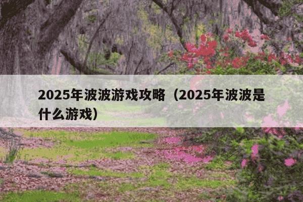 2025年波波游戏攻略（2025年波波是什么游戏）